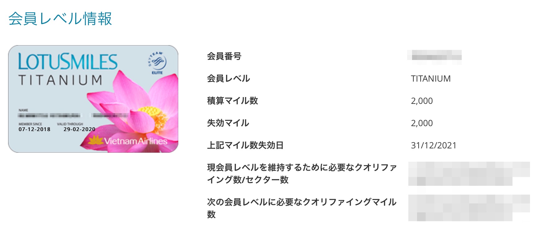 無料でスカイチームの上級ステータス「スカイチームエリート」を手に入れよう | ヒゲおじさんのマイルと旅日記